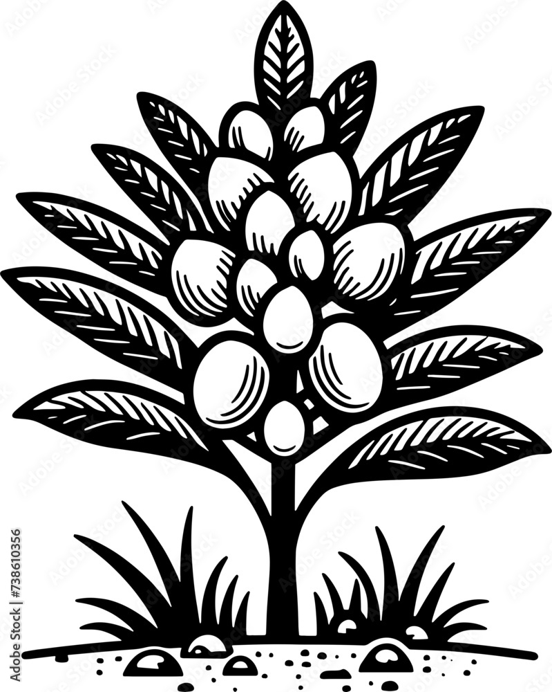 Obraz premium Hanguanaceae Plant icon 4