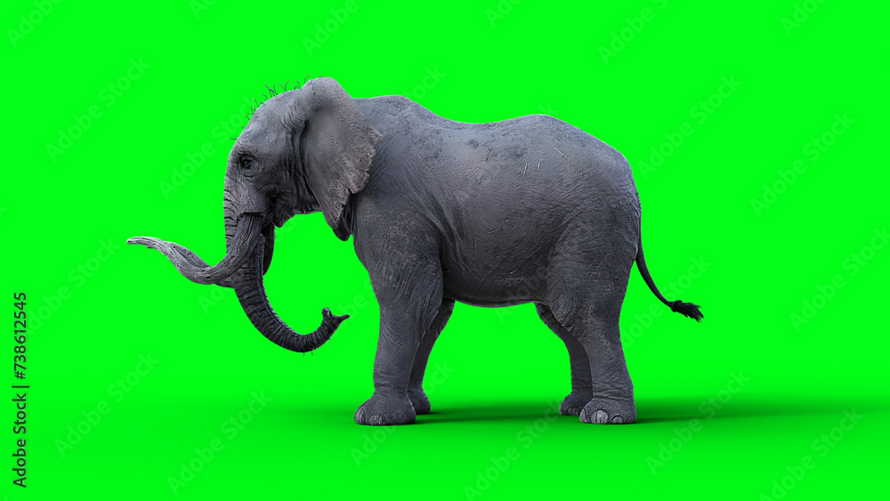 African elephant idle. 3d rendering.