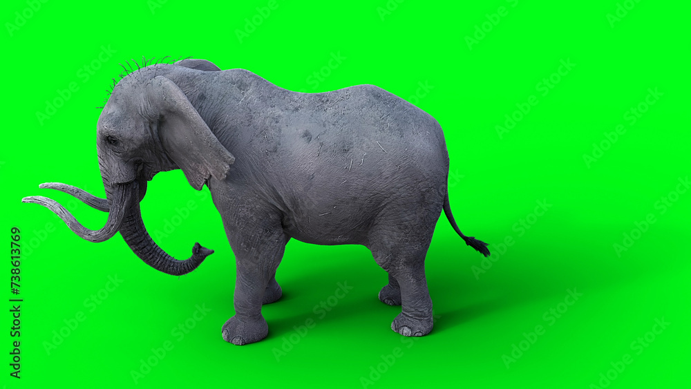 Obraz premium African elephant idle. 3d rendering.