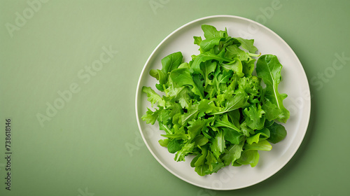 Cybonixxa green food balanced diet plate with green