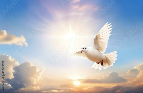 White dove fly Bright sunrise high sky from Generative AI