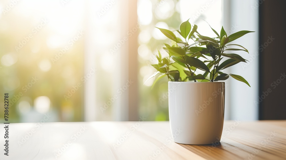 White cup on the kitchen table, with green plant in the background White cup on the kitchen table, with green plant in the background