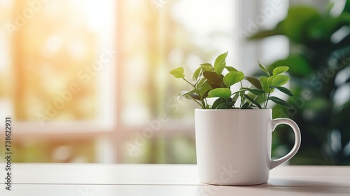 White cup on the kitchen table, with green plant in the background
