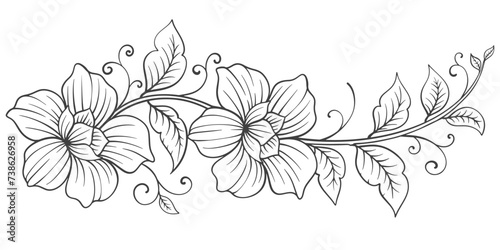 Sketch Floral Botany Collection. flower drawings. Black and white with line art on white backgrounds. Hand Drawn Botanical Illustrations.Vector.