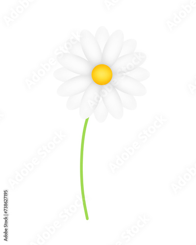 One chamomile