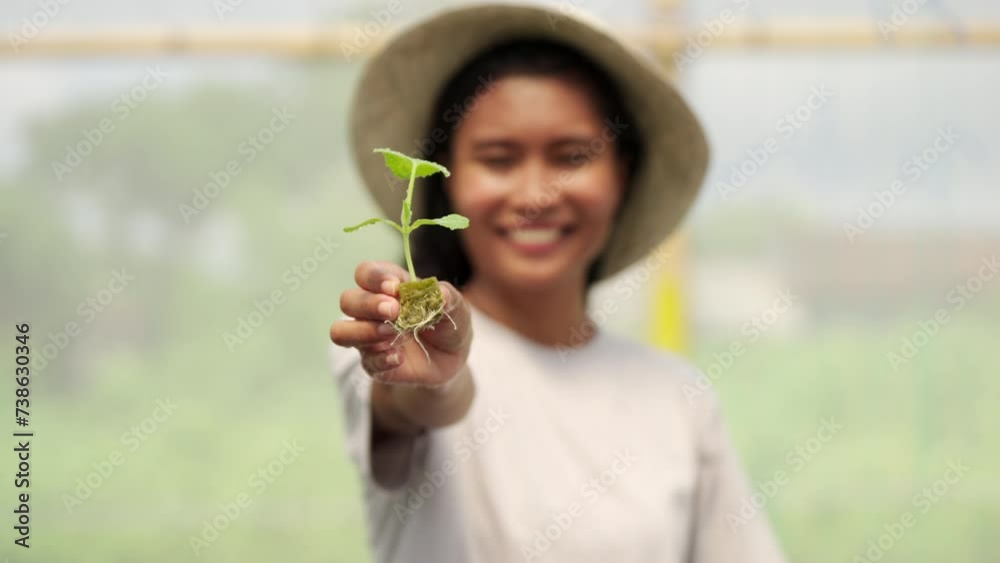 Smiling young asian farmer holding a young melon plant, hydroponic gardening home system Smiling young asian farmer holding a young melon plant, hydroponic gardening home system