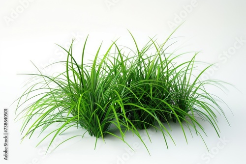 A bunch of green grass sitting on top of a white surface. Suitable for nature-themed designs or concepts