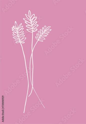 Card (abstract poster) of planar botanical silhouettes on a deep pastel background. Digital illustration is suitable for interior printing, branding, social networks, wedding design.