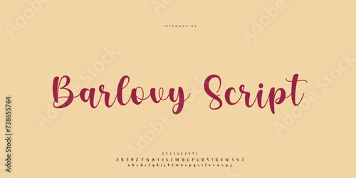 signature Font Calligraphy Logotype Script Brush Font Type Font lettering handwritten