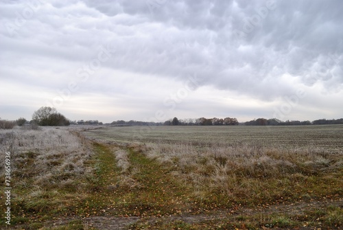 Autumn walk through forests and fields  nature.