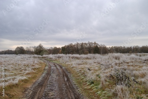 Autumn walk through forests and fields, nature.