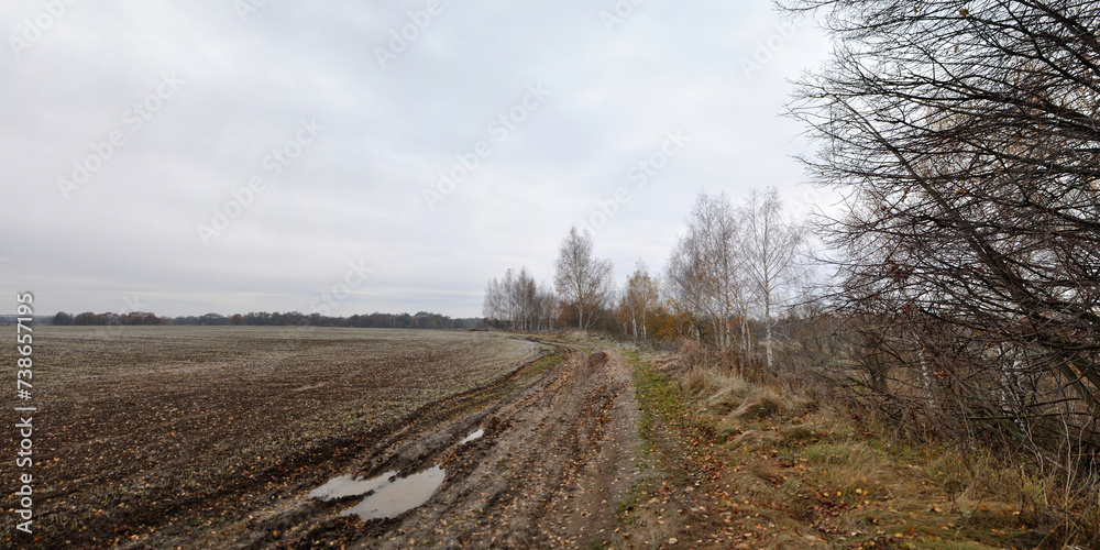 Walking through the forest, beautiful panorama. Walking through the forest, beautiful panorama.