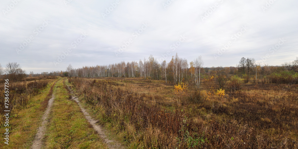 Walking through the forest, beautiful panorama.