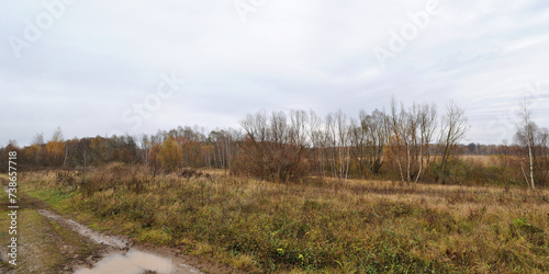 Walking through the forest, beautiful panorama.