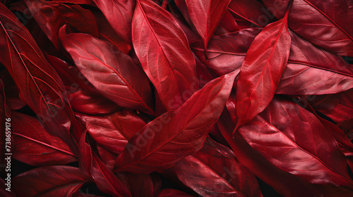 Abstract red leaves