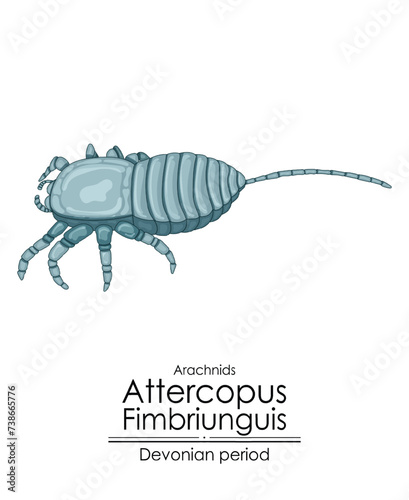 Attercopus fimbriunguis the oldest known spider, a Devonian period arachnid. Colorful illustration on a white background