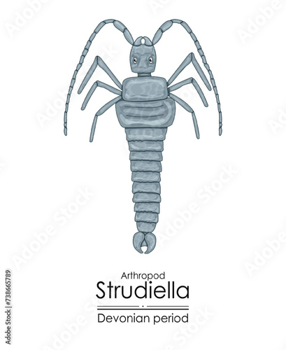 Strudiella, a Devonian period arthropod, but possible an insect. Colorful illustration on a white background