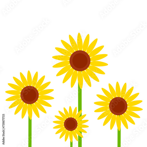 Fototapeta Naklejka Na Ścianę i Meble -  Vector illustration of a bunch of yellow sunflowers of different sizes. Flower with blooming petals isolated on white background.