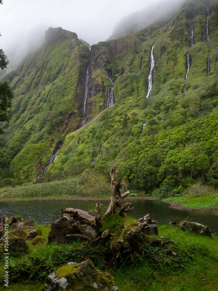 Broken trees by the lake of Poço da Alagoinha, Flores Island
