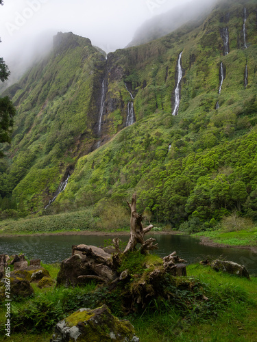 Obraz na płótnie Broken trees by the lake of Poço da Alagoinha, Flores Island w salonie