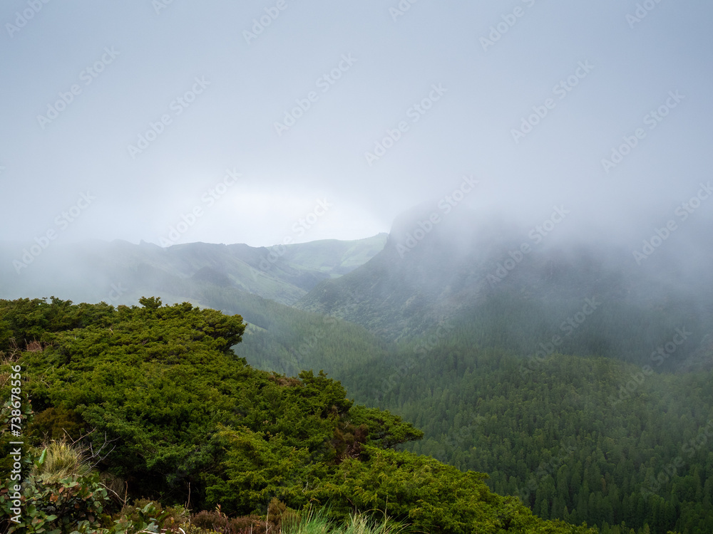 Low clouds over a forest covered valley in Flores Island