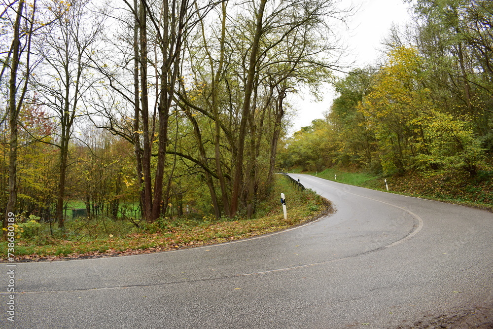 wet curvy autumn road