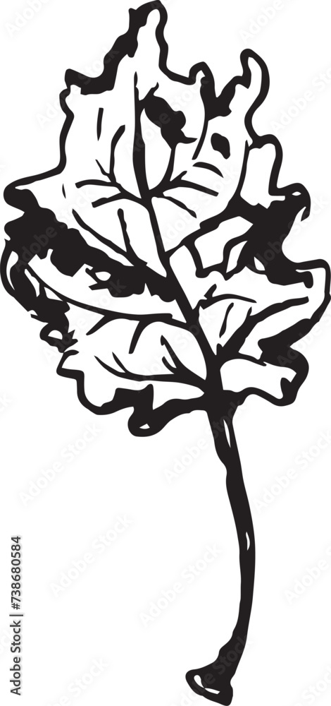 Fototapeta premium Hand drawn black leaves. Vintage leaf, great design for any purposes.