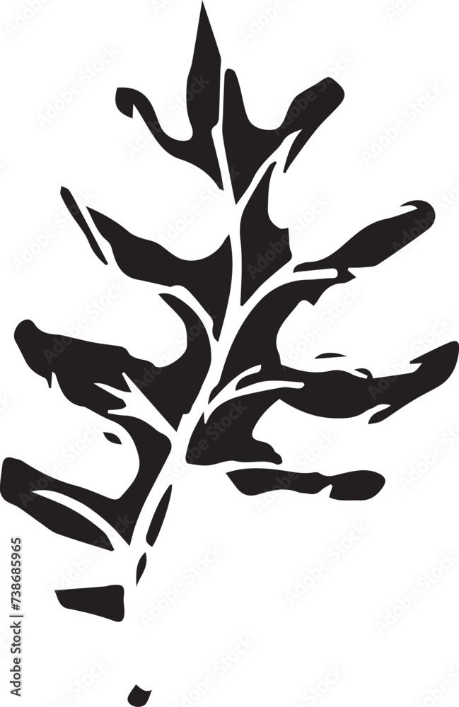Sketch drawing of a fern in black and white outline. Vintage fern, great design for any purposes. Sketch drawing of a fern in black and white outline. Vintage fern, great design for any purposes.