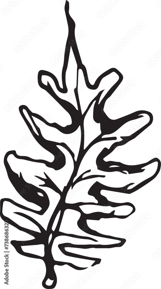 Sketch drawing of a fern in black and white outline. Vintage fern, great design for any purposes. Sketch drawing of a fern in black and white outline. Vintage fern, great design for any purposes.