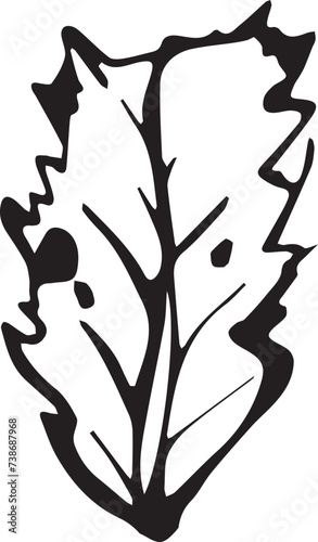 Rowan in hand drawn style on black background. Vintage line art closeup.