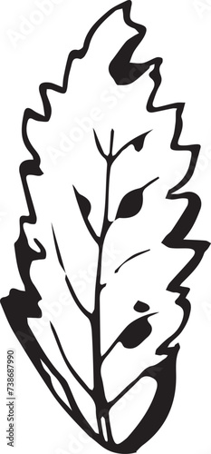 Rowan in hand drawn style on black background. Vintage line art closeup.