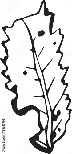 Rowan in hand drawn style on black background. Vintage line art closeup.