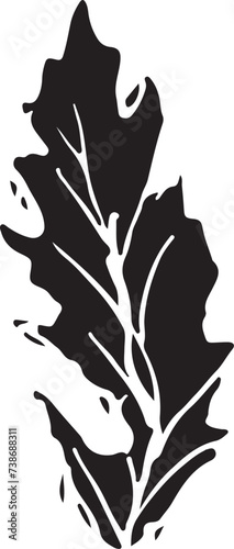 Rowan in hand drawn style on black background. Vintage line art closeup.