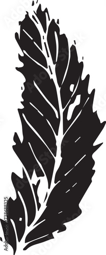 Rowan in hand drawn style on black background. Vintage line art closeup.