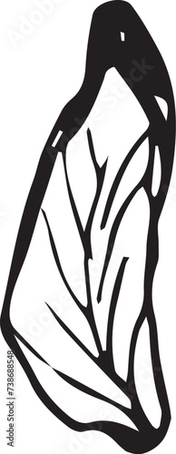 Rowan in hand drawn style on black background. Vintage line art closeup.