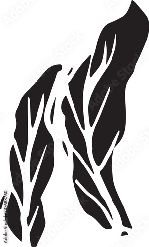 Rowan in hand drawn style on black background. Vintage line art closeup.