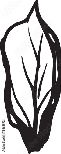 Vintage rowan, great design for any purposes. Hand drawn black illustration.