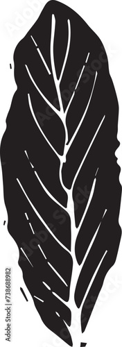 Vintage rowan, great design for any purposes. Hand drawn black illustration.