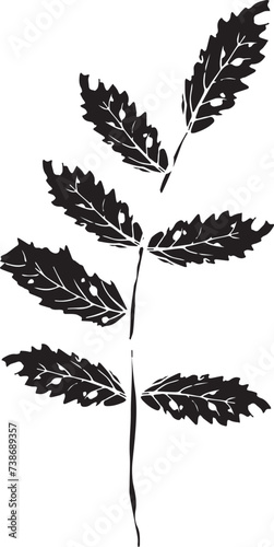 Vintage rowan, great design for any purposes. Hand drawn black illustration.