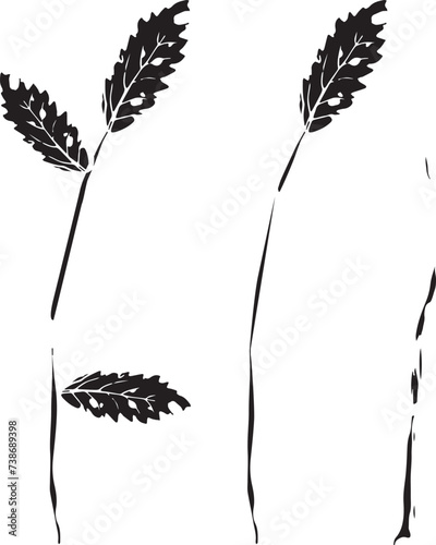Vintage rowan, great design for any purposes. Hand drawn black illustration.