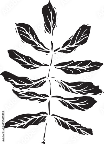 Vintage rowan, great design for any purposes. Hand drawn black illustration.