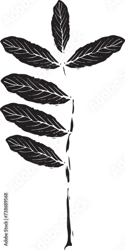 Vintage rowan, great design for any purposes. Hand drawn black illustration.