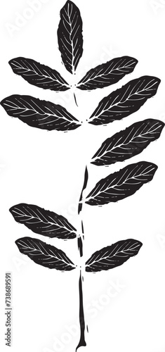 Vintage rowan, great design for any purposes. Hand drawn black illustration.