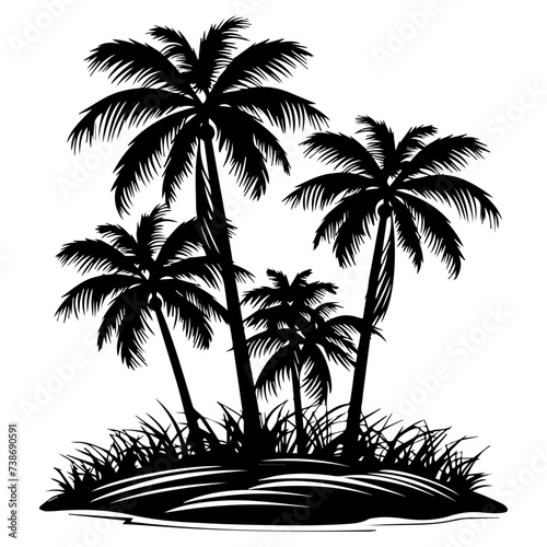 beach palm trees