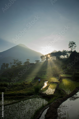 sunrise in trawas rice terrace over the mountains photo