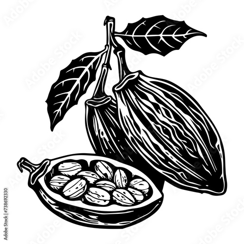 Vintage cocoa beans and pod