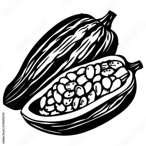 Vintage cocoa beans and pod
