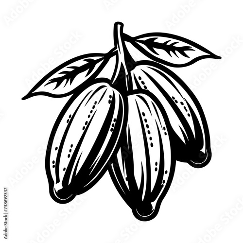 Vintage cocoa beans and pod