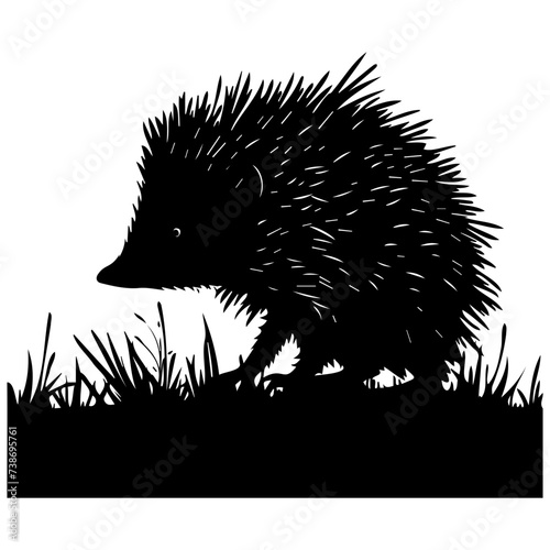 hedgehog vector silhouette