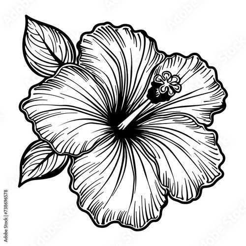 Hibiscus flowers in a vintage woodcut engraved etching style